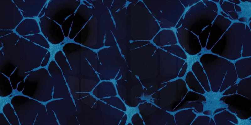 Нейробиология успеха: как хакнуть дофаминовую систему