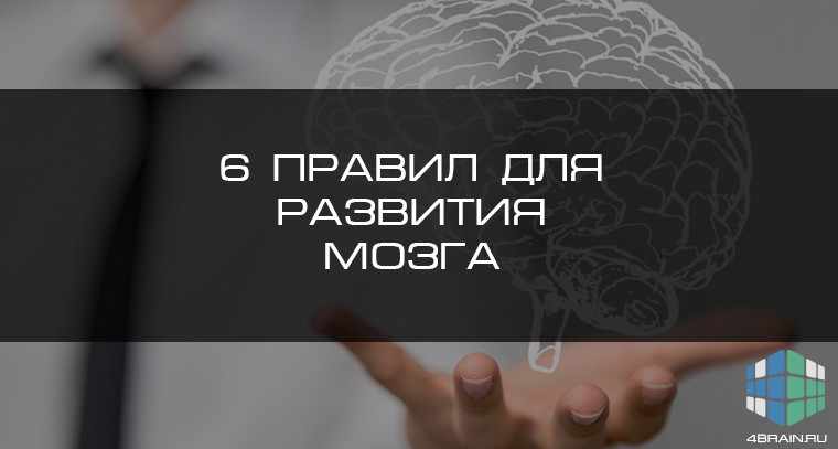 6 правил для развития мозга