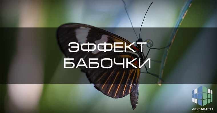 Эффект бабочки и его философский смысл